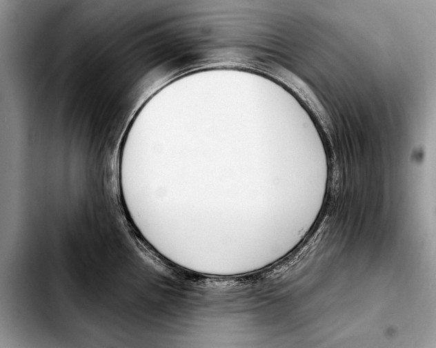 X0000103411242200810100949