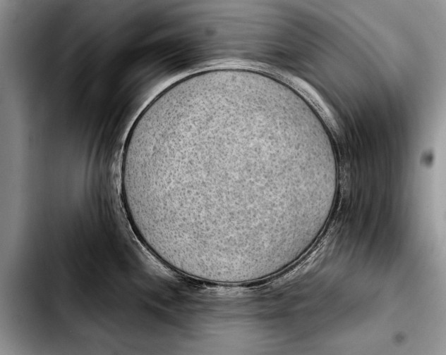 X0000103411244200810100949