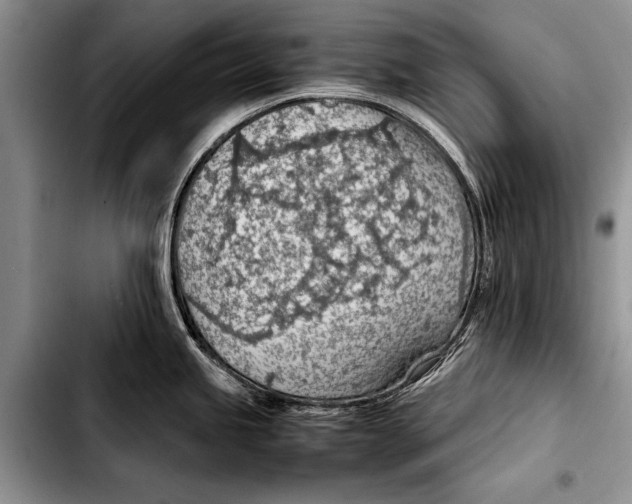 X0000103411245200810100949