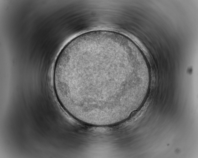 X0000103411246200810100949