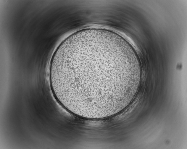 X0000103411247200810100949