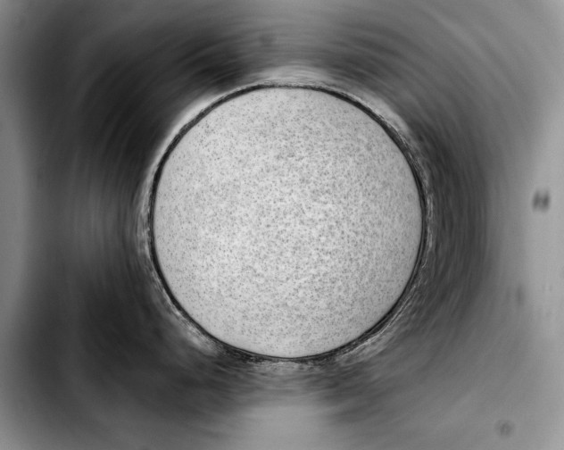 X0000103411248200810100949