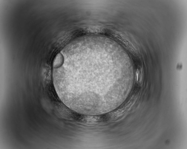 X0000103411251200810100948