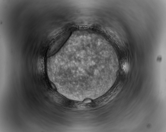 X0000103411252200810100948