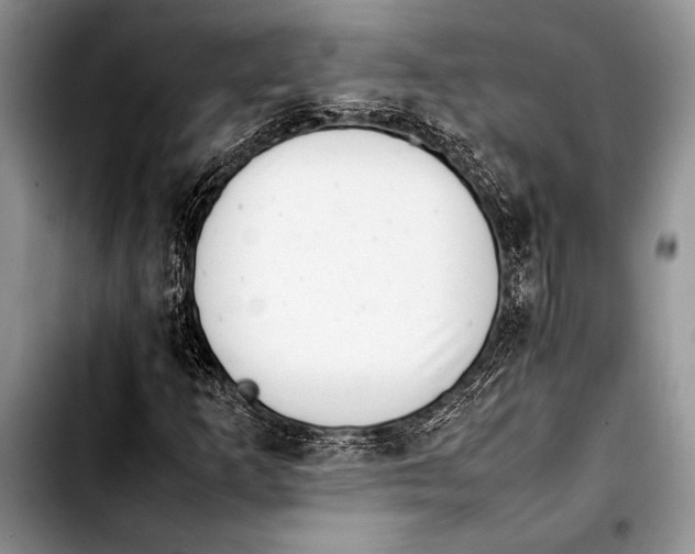 X0000103411253200810100948