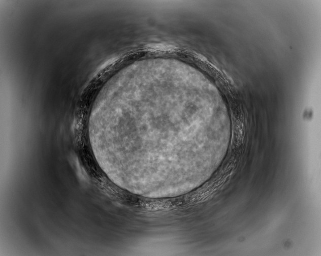 X0000103411254200810100948