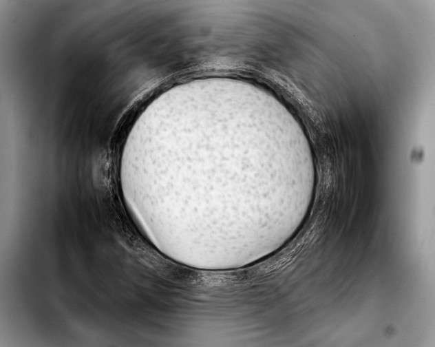 X0000103411258200810100948