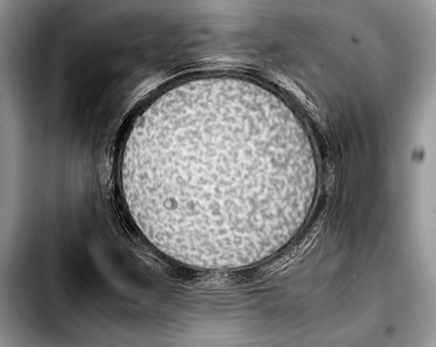 X0000103411259200810100948