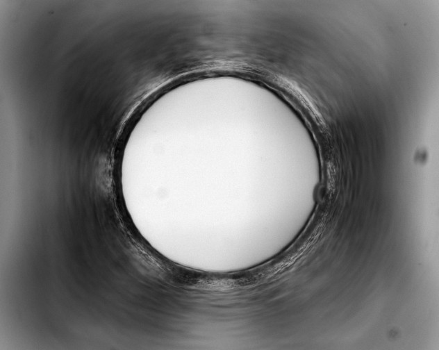 X0000103411260200810100948