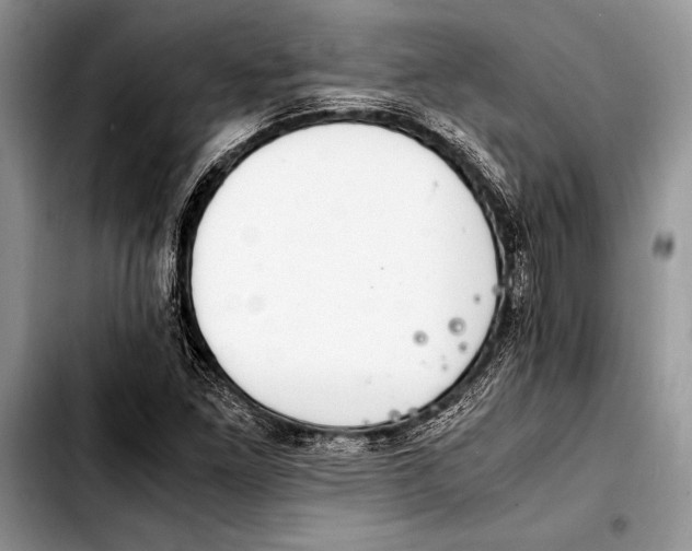 X0000103411261200810100948