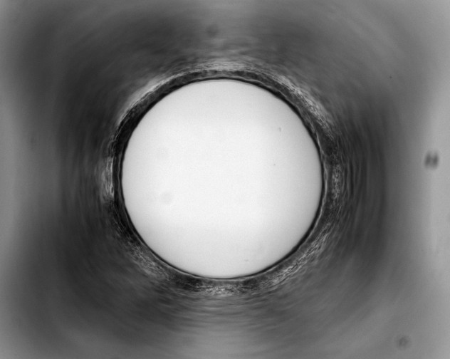 X0000103411262200810100948