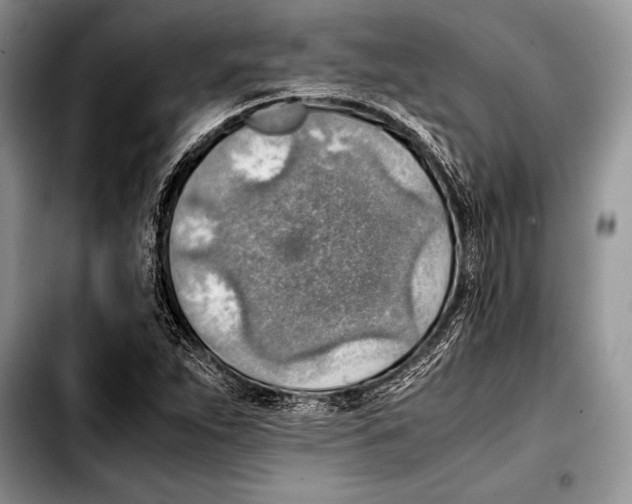 X0000103411263200810100948