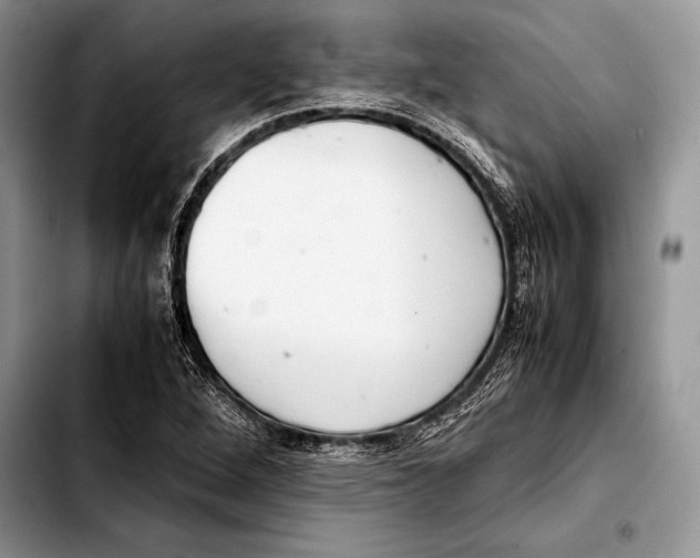 X0000103411264200810100948