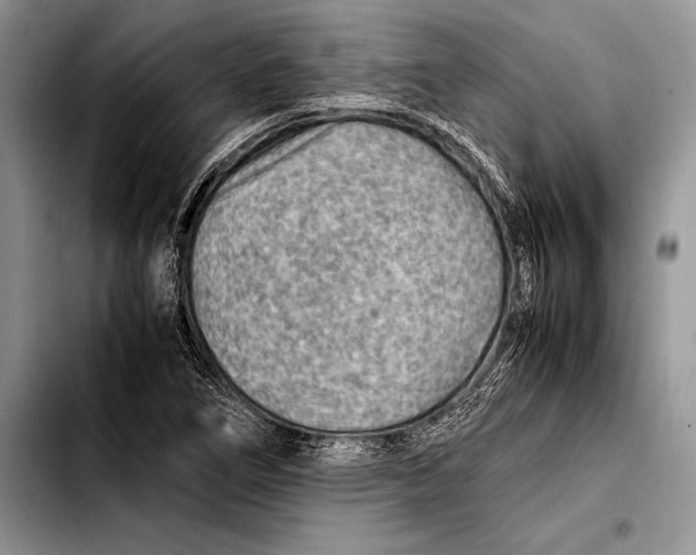 X0000103411266200810100948