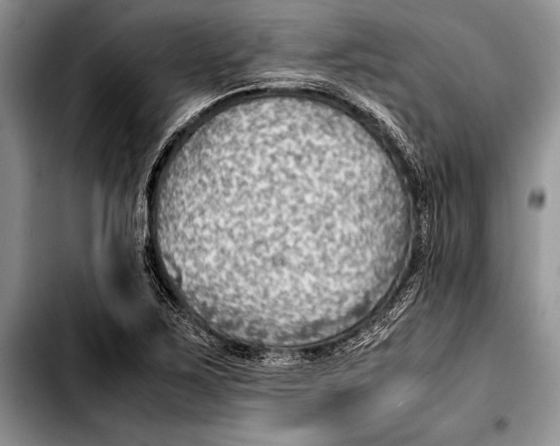 X0000103411267200810100948