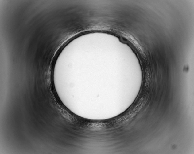 X0000103411268200810100948