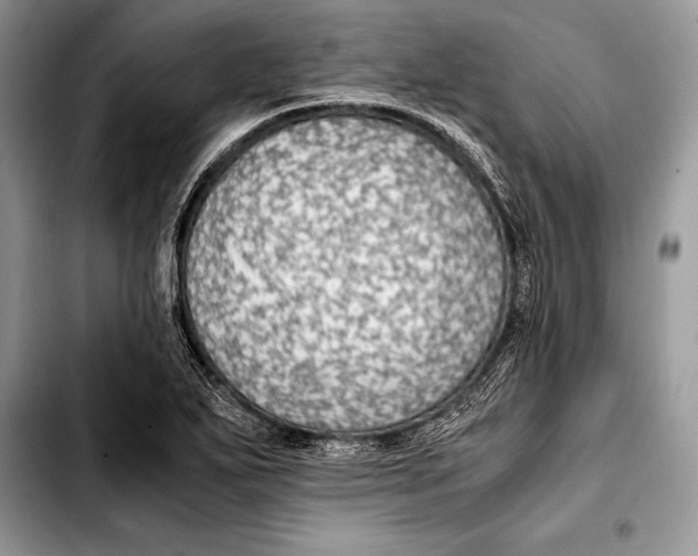 X0000103411271200810100948