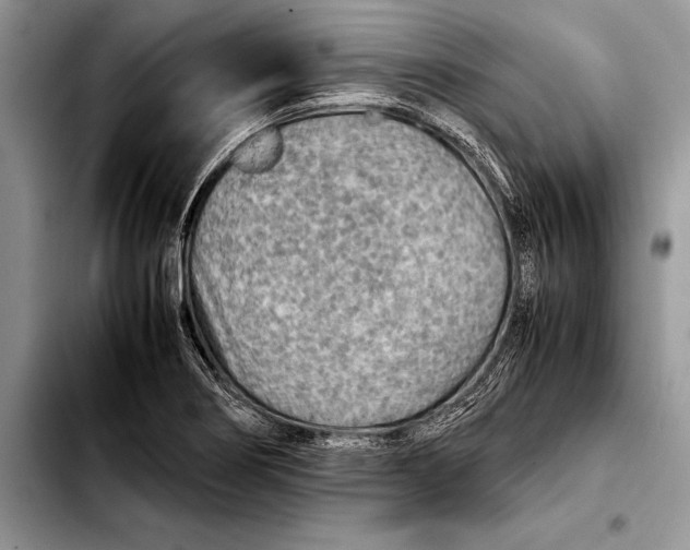 X0000103411274200810100948