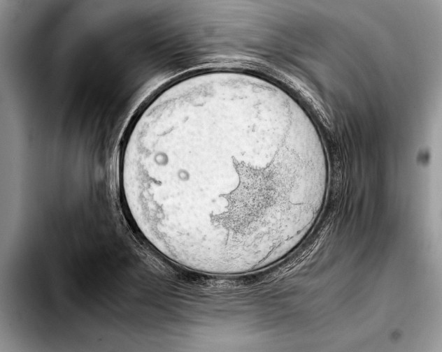 X0000103411275200810100948