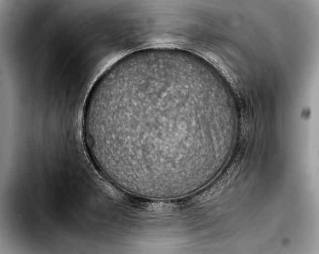 X0000103411277200810100948