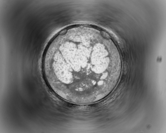 X0000103411279200810100948