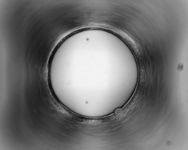 X0000103411280200810100948