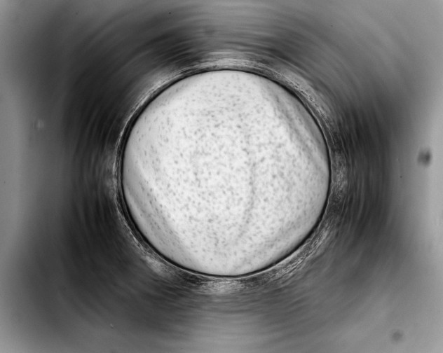 X0000103411282200810100948