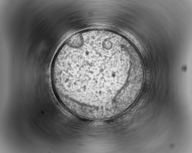 X0000103411283200810100948