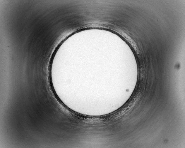 X0000103411285200810100948