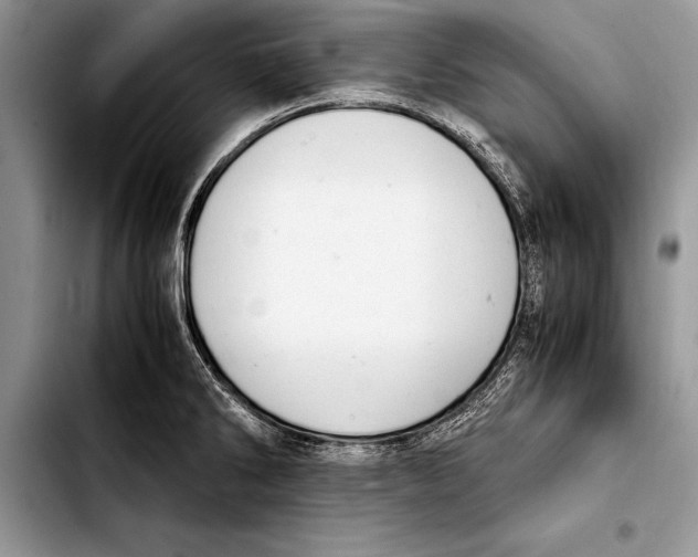 X0000103411286200810100948