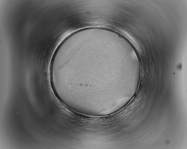 X0000103411291200810100948