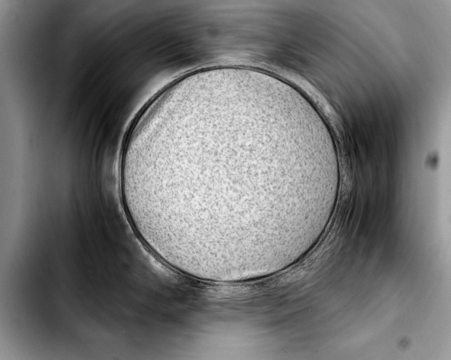 X0000103411294200810100948