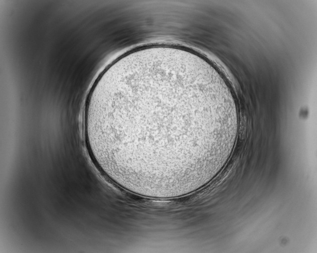 X0000103411295200810100948