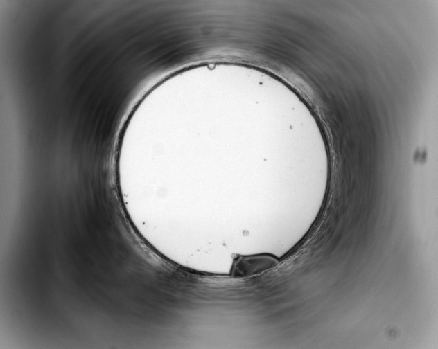 X0000103411296200810100948