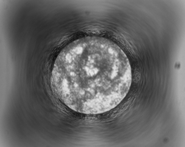 X0000103411297200810100947