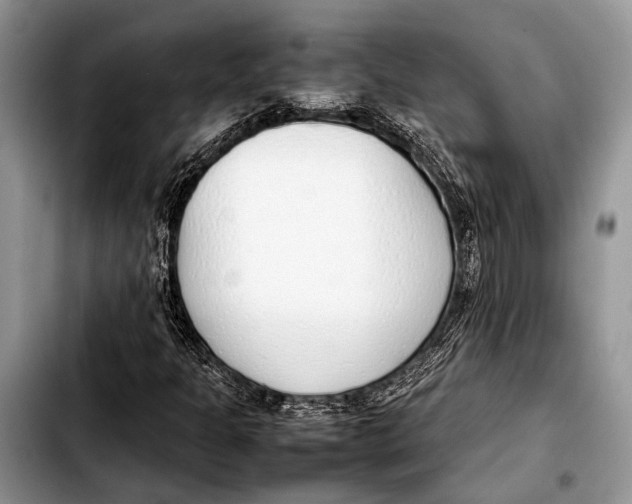 X0000103411301200810100947