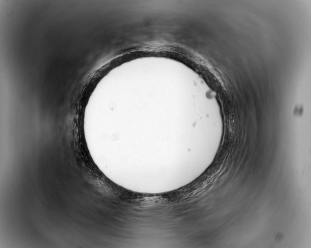 X0000103411304200810100947