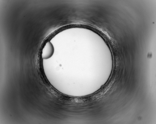 X0000103411311200810100947