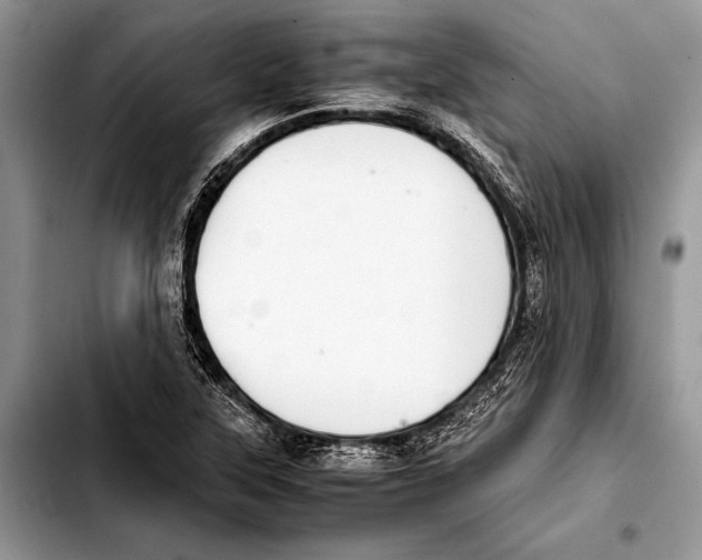 X0000103411315200810100947