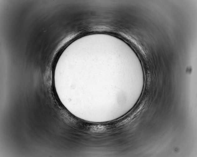 X0000103411317200810100947