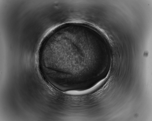 X0000103411319200810100947