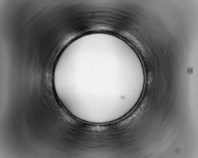 X0000103411321200810100947