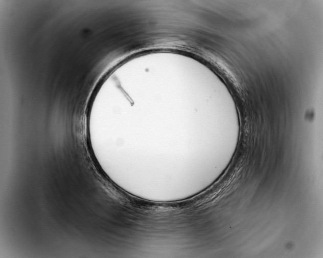 X0000103411324200810100947