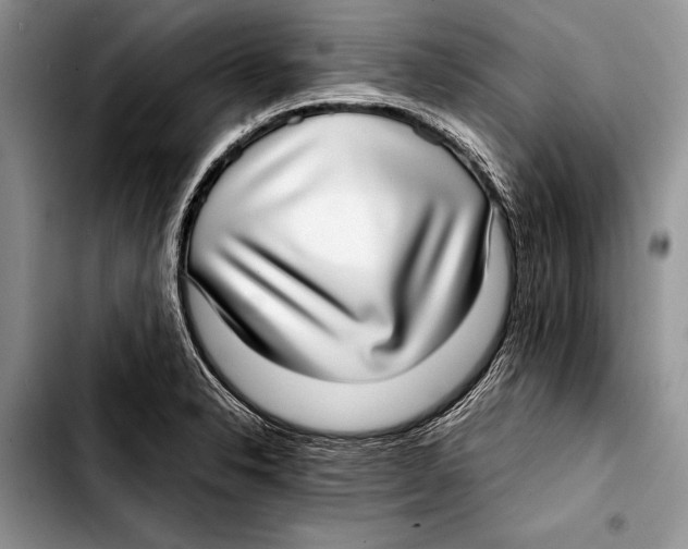 X0000103411326200810100948