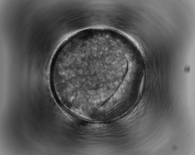 X0000103411327200810100948