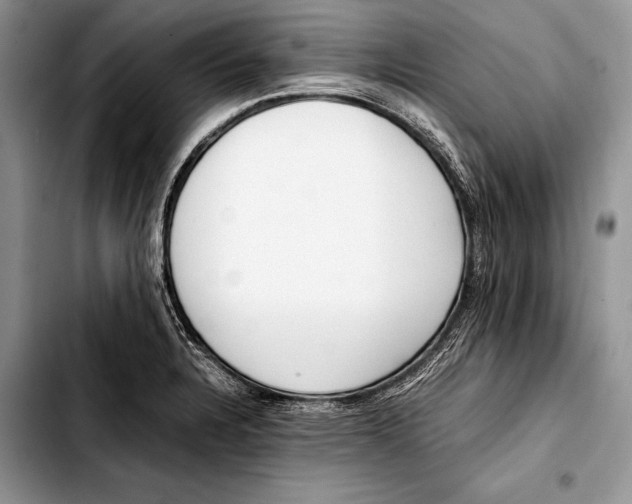 X0000103411328200810100948