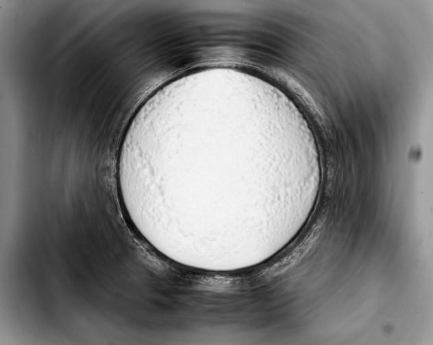 X0000103411329200810100948