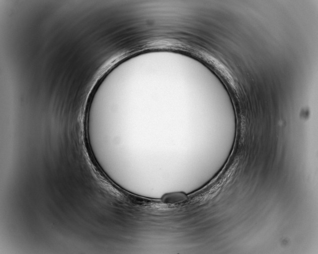 X0000103411330200810100948