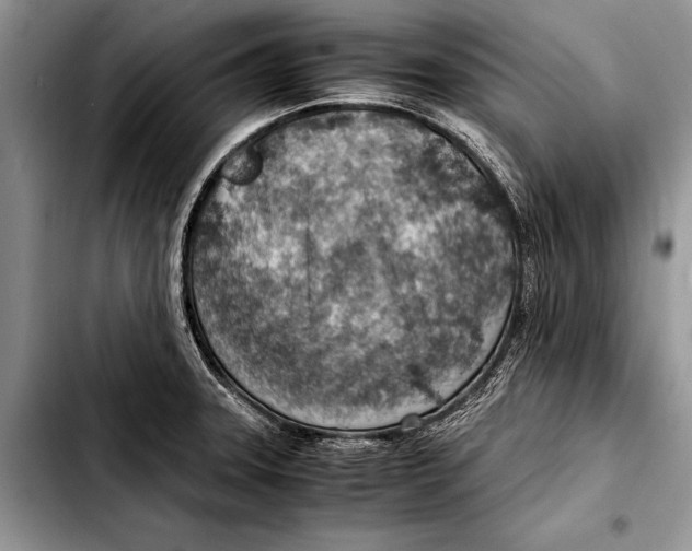 X0000103411331200810100948