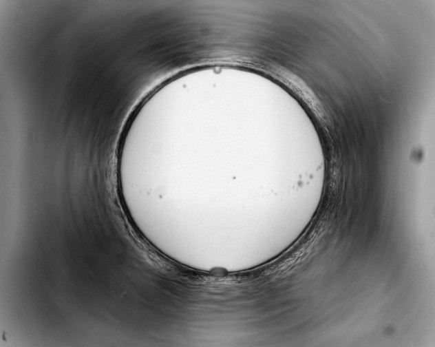 X0000103411332200810100948